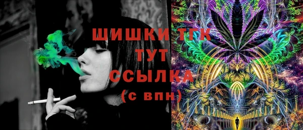 дурь Бородино