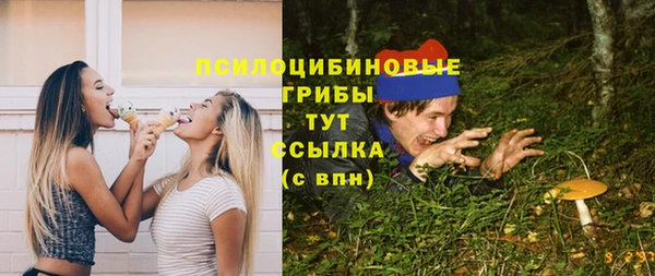 дурь Бородино