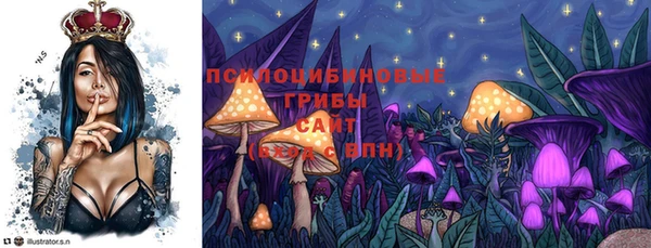 2c-b Березники