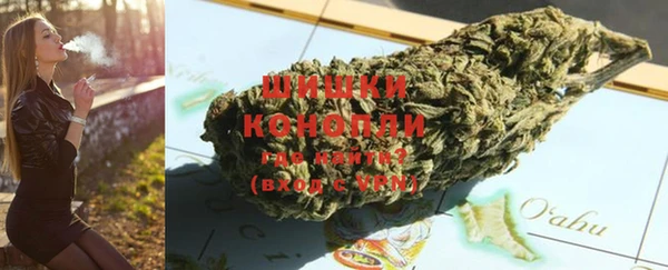 дурь Бородино